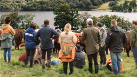 Group Banner Picture